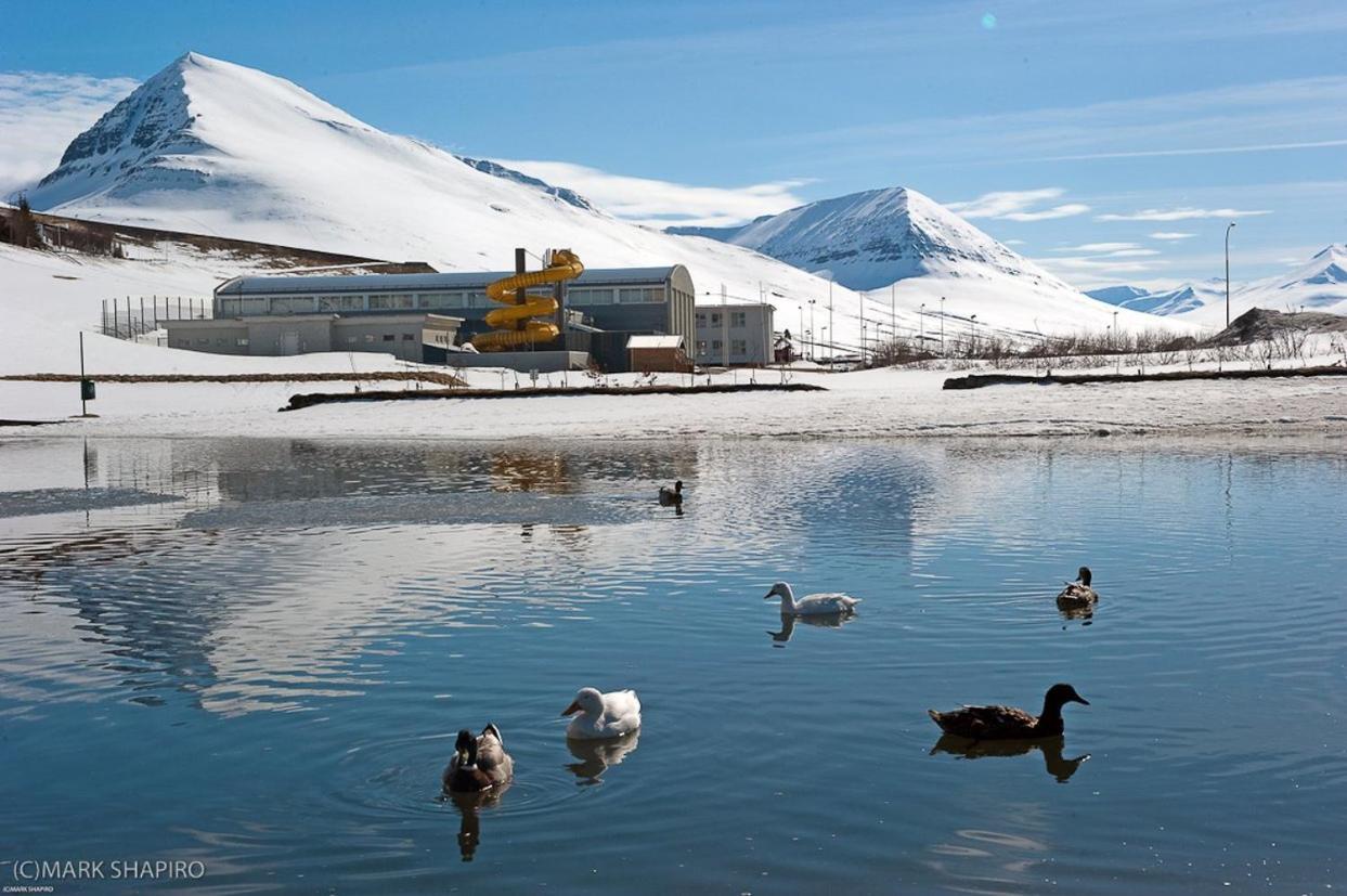 The Northern Comfort Inn Olafsfjordur Dış mekan fotoğraf